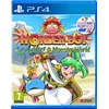 Image de Wonder Boy : Asha in Monster World