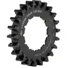 Image de Gates Carbon Drive Pignon Cdx Expedition Rohloff 22t
