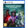 Image de Shadow Gambit: The Cursed Crew