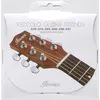 Image de Ibanez IPCS6c 80/20 Bronze Wound 10-47 Jeux de cordes électriques 010