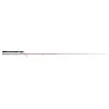 Image de Tenryu Canne Spinning Injection 2.90 m