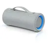 Image de Enceinte sans fil Bluetooth portable Sony SRS-XG300 Gris