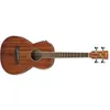 Image de Ibanez PNB14E-OPN - Mini Basse électro acoustique - Pores ouverts - noire