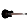 Image de Ibanez AEG50N-BKH noire brillante - guitare classique électro