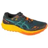 Image de ASICS Performance, Hommes, Chaussures de course à pied, Fuji Lite Laufschuhe (41.5), Multicolore