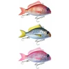 Image de Little Jack Stickbait Coulant Charikom 65 Mm