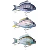 Image de Little Jack Stickbait Coulant Charikom 75 Mm