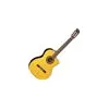 Image de Guitares Electro-Acoustiques TAKAMINE - GC5CE-NAT