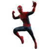 Image de Figure Hot Toys MMS658 - Marvel Comics -The Amazing Spider Man - Spider Man