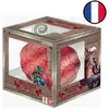 Image de Collection Fruits du Démon Vol.3 DF-03 - One Piece FR