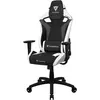 Image de Thunder X3 Fauteuil compatible XC3 (Noir/Blanc), Chaise gaming, Noir, Blanc