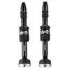 Image de E-thirteen Soupapes Quick Fill Bosch Tubeless 2 Unités 16-24 mm