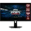 Image de MSI G244F E2 (1920 x 1080 pixels, 23.80"), Moniteur, Noir