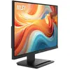 Image de Msi Moniteur Portable Mp241