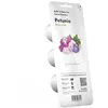 Image de Recharge Emsa Click and Grow Pack 3 Petunia capsules
