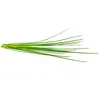 Image de Click and Grow, Graines, Ciboulette (Graines d’herbes aromatiques)