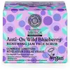 Image de Natura Siberica, Nettoyant pour le visage, Anti-Ox Wild Blueberry (Exfoliant nettoyant, 50 ml)