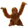 Image de Hansa Peluche Orang Outan Bébé 42cmH