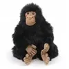 Image de Chimpanze bebe 25 cm - Anima
