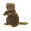 Image de Peluche Castor dresse 29cmH