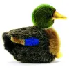 Image de Hansa - Canard bébé colvert
