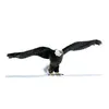 Image de Aigle americain 75cm