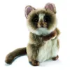 Image de Tarsier 13cm