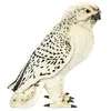 Image de Hansa Peluche Faucon Gerfaut (tête articulée) 35cmH