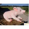 Image de Pig No.4944