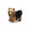 Image de Yorkshire Terrier 30cm
