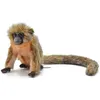Image de Peluche - Singe Titi 16cm
