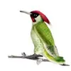 Image de Peluche Pic Vert 20 cm - Hansa