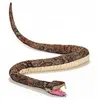 Image de Python 258cm