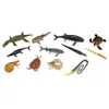 Image de Collecta animaux préhistoriques mini-série de 12 pièces 7-11 cm