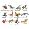Image de Collecta set de jeu mini insectes junior 7-11 cm ABS