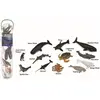Image de Collecta Boîte de mini-animaux marins