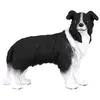Image de Chien Border Collie Figurines Collecta
