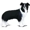 Image de Collecta Collie border