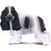 Image de Collecta Englischer Cocker Spaniel Hund 5cm