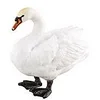 Image de Figurine cygne Figurines Collecta