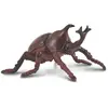 Image de Collecta Coléoptère Géant (M)