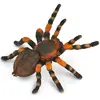Image de Collecta Araignée-oiseau mexicaine à coude rouge