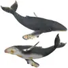 Image de Collecta Baleine à bosse