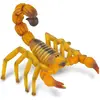 Image de Collecta Scorpion Jaune à Queue épaisse Du Sahara (M)