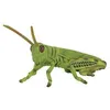 Image de Figurine Insecte : Sauterelle Figurines Collecta