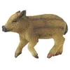 Image de Sanglier - Bébé se promenant Figurines Collecta