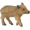 Image de Collecta Sanglier Frais - Marchant (S)