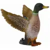 Image de Collecta Colvert Mâle (S)