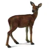 Image de Figurine : Animaux de la forêt : Biche Figurines Collecta
