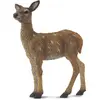 Image de Collecta CERF ÉLAPHE (M)